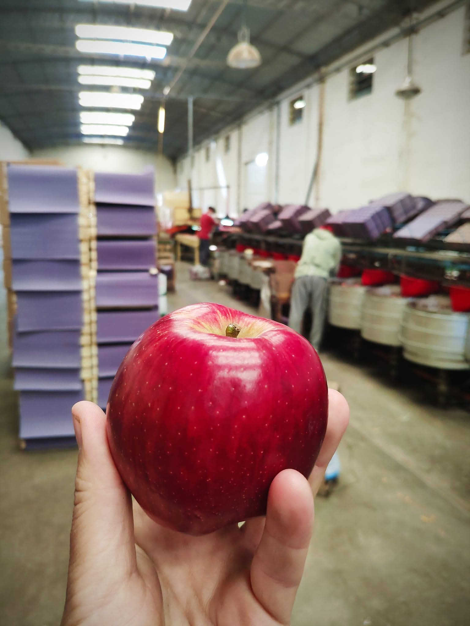 Invernaderos De La Costa