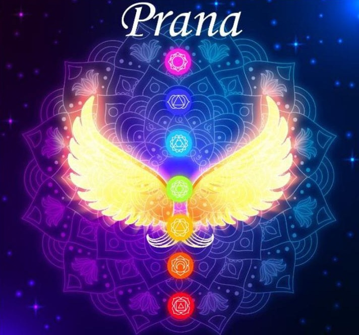 Prana Centro Holístico — Logo