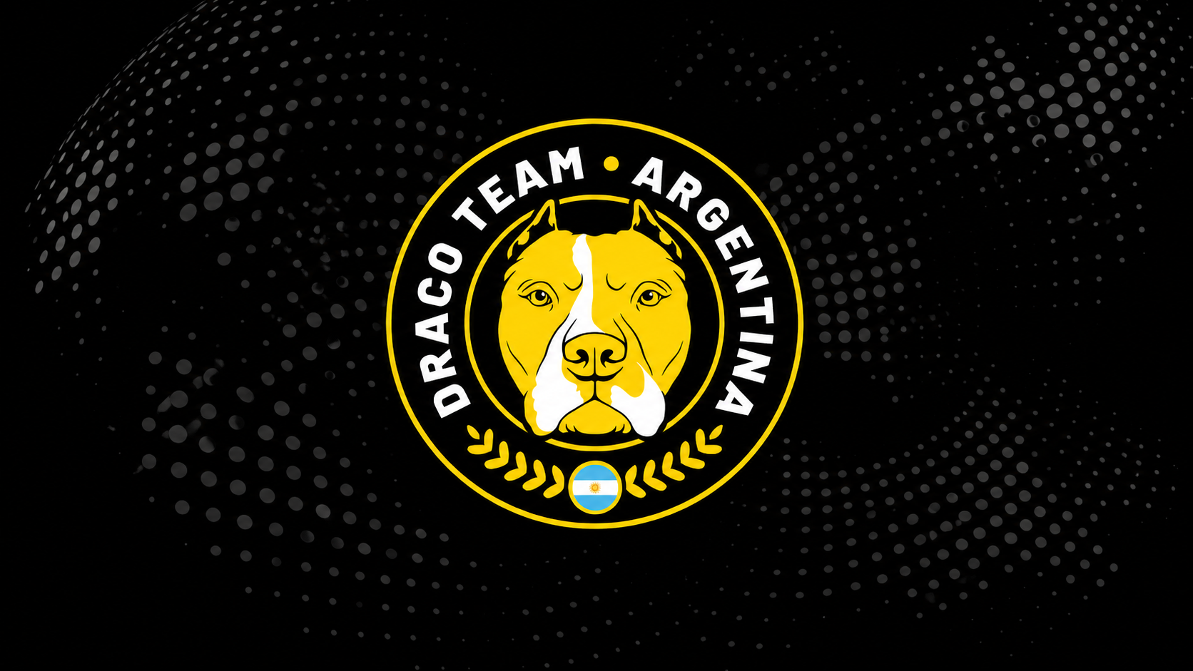 Entrenamiento de Draco Team Argentina