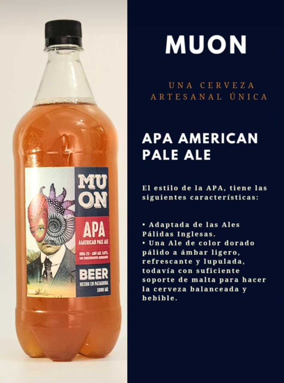Microcervecería Muon 6