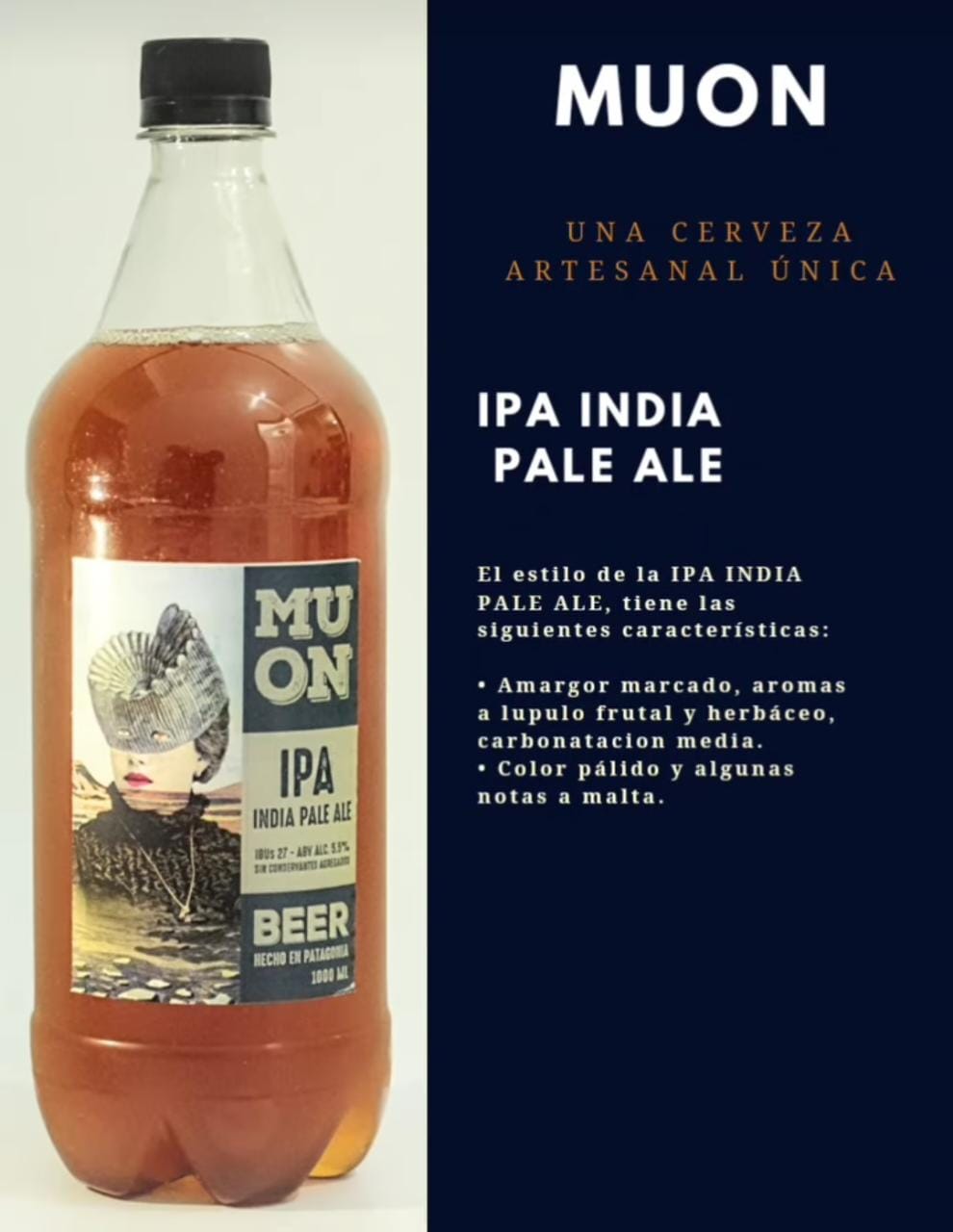Microcervecería Muon 8