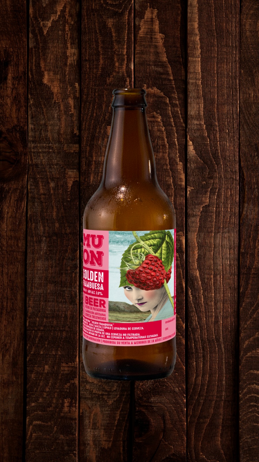 Golden Frambuesa Microcervecería Muon 2