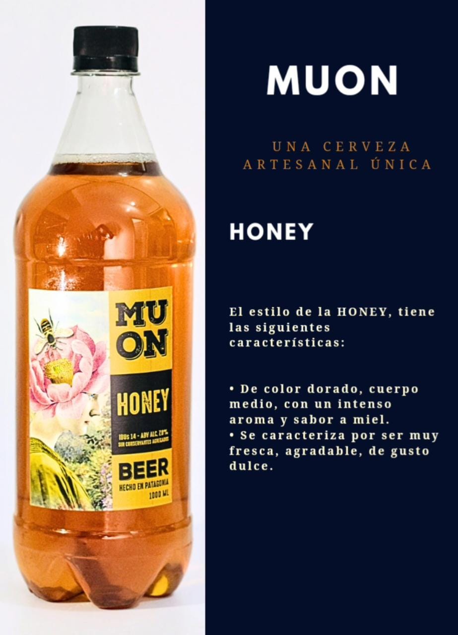 Honey Microcervecería Muon 2