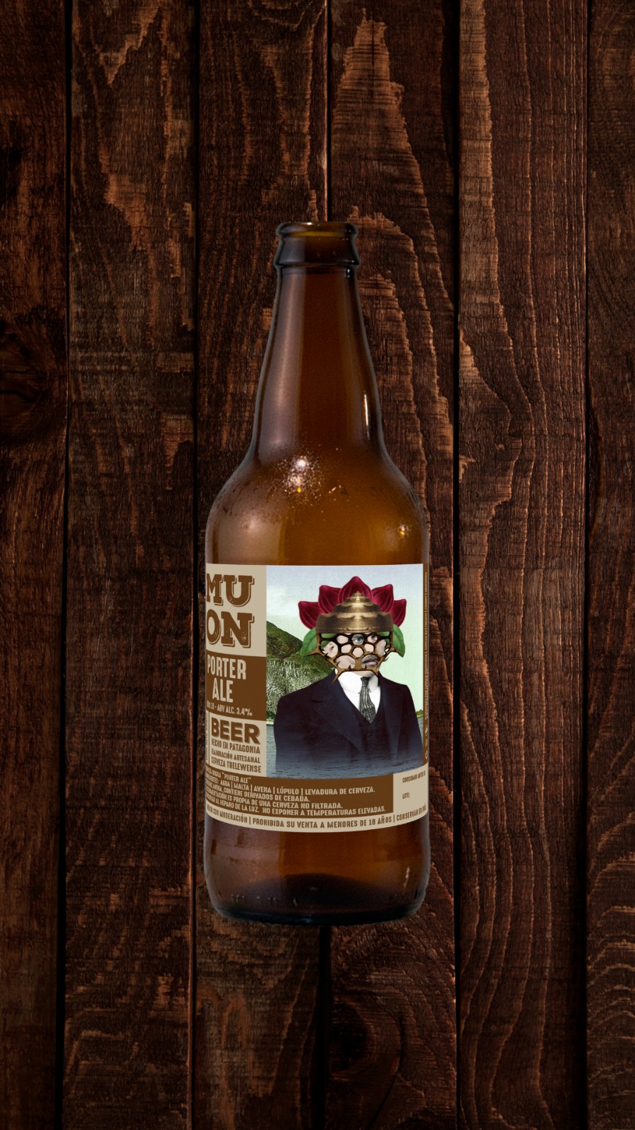 Porter Ale Microcervecería Muon 2