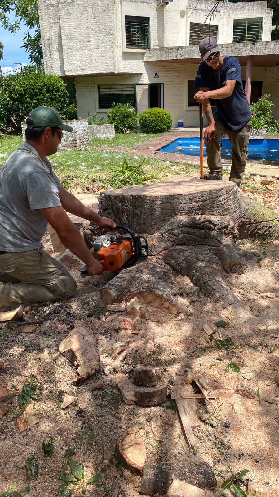 Trabajo 4