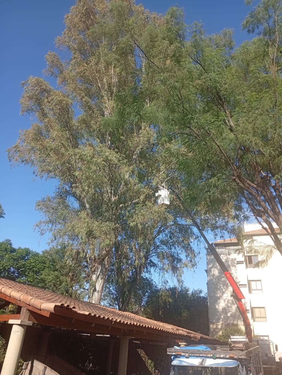 Trabajo 6