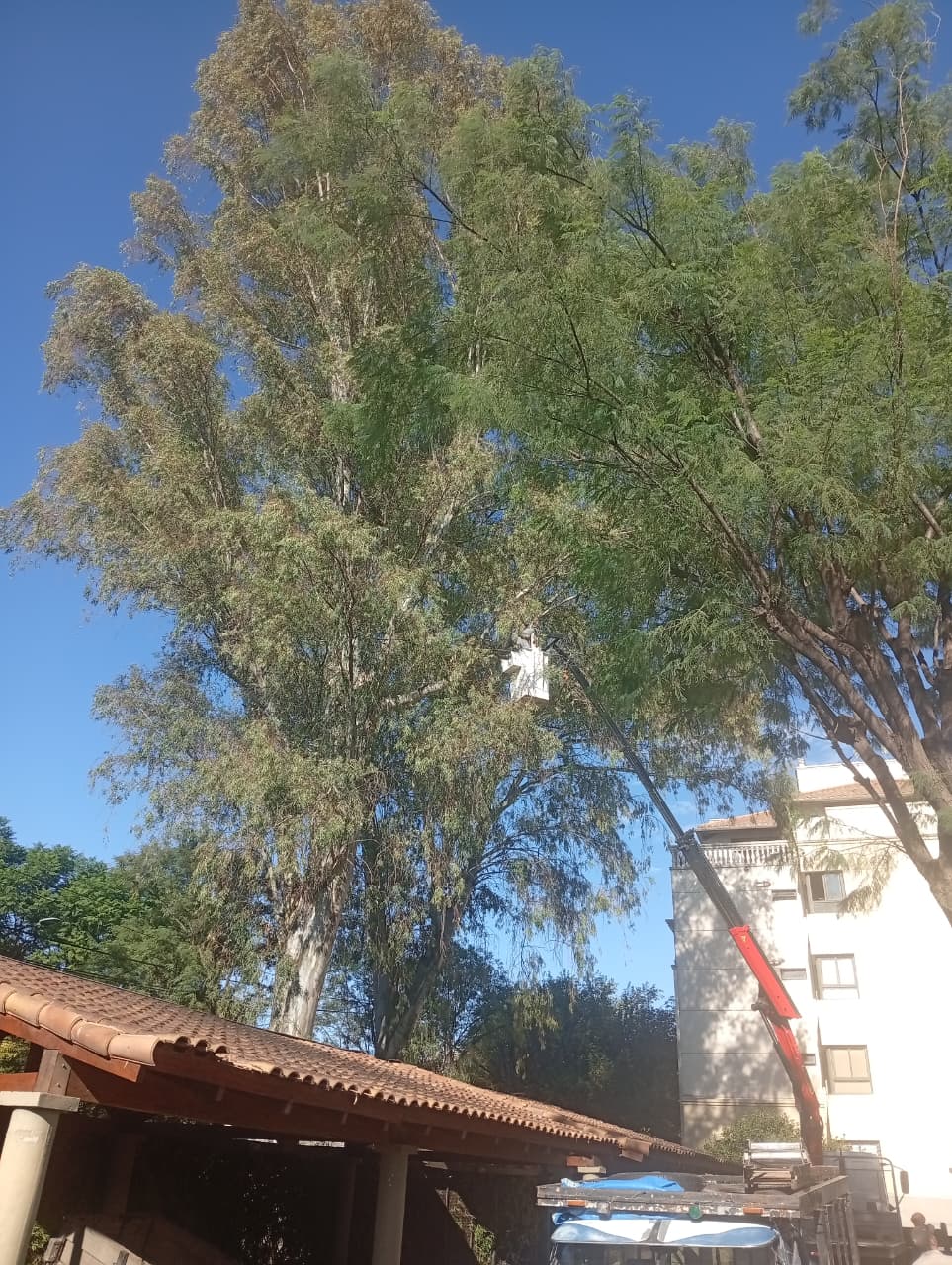 Trabajo 7
