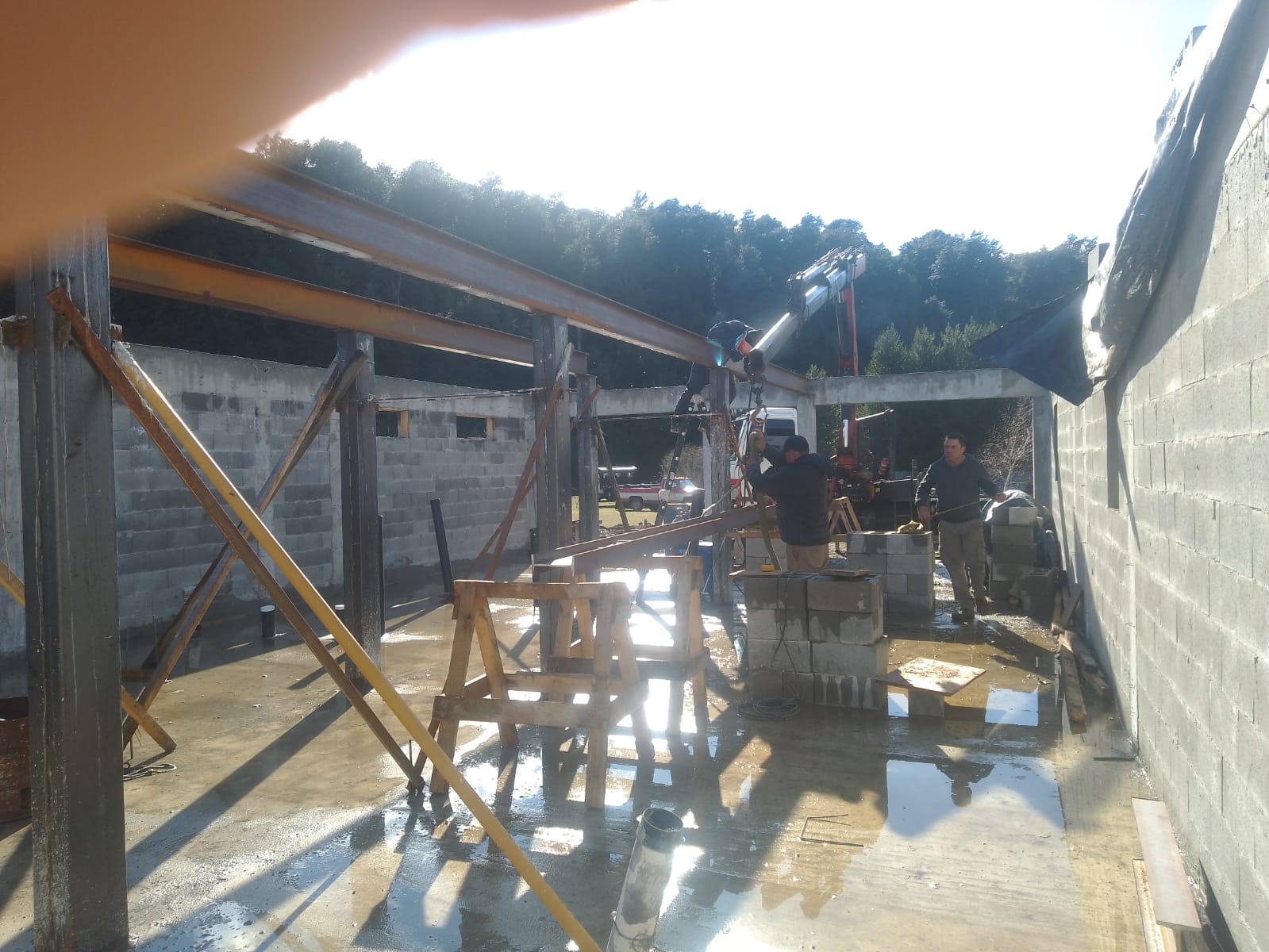 Trabajo 11