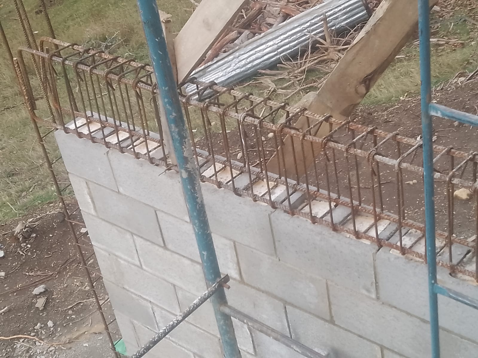 Trabajo 18