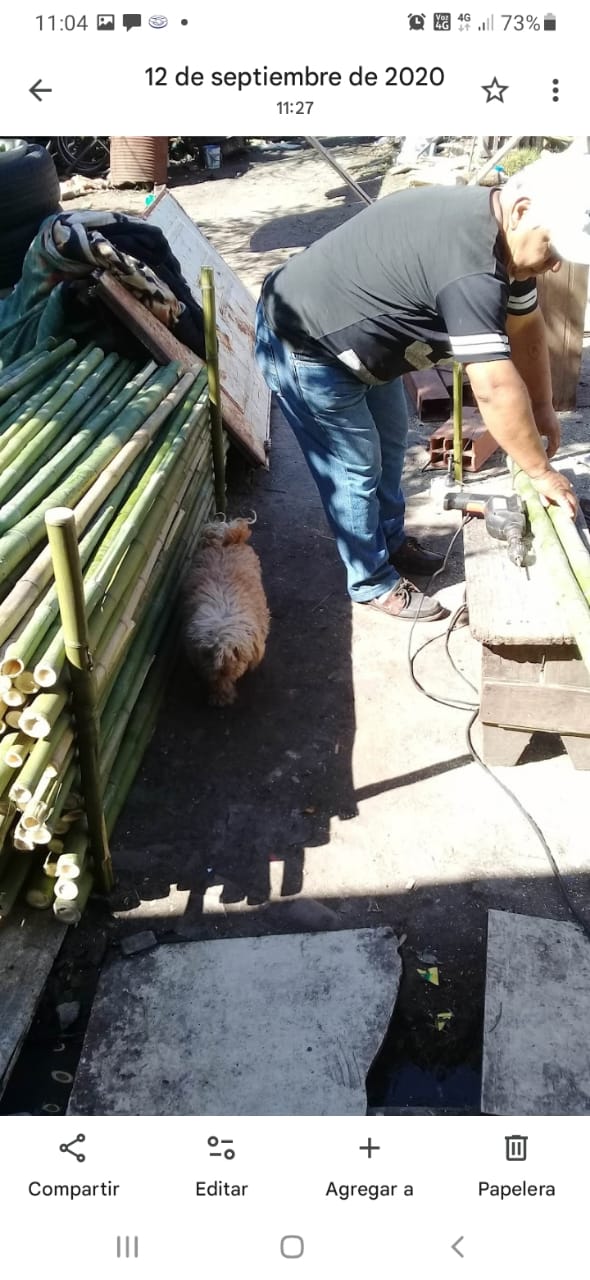 Trabajo 15
