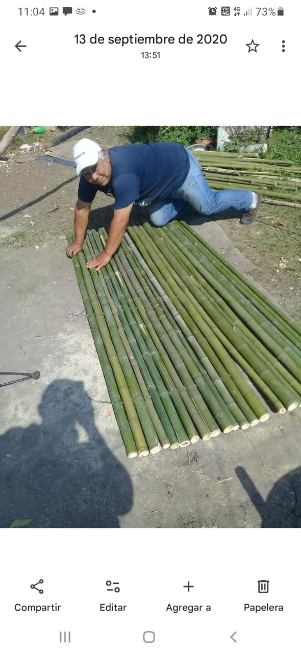 Trabajo 16