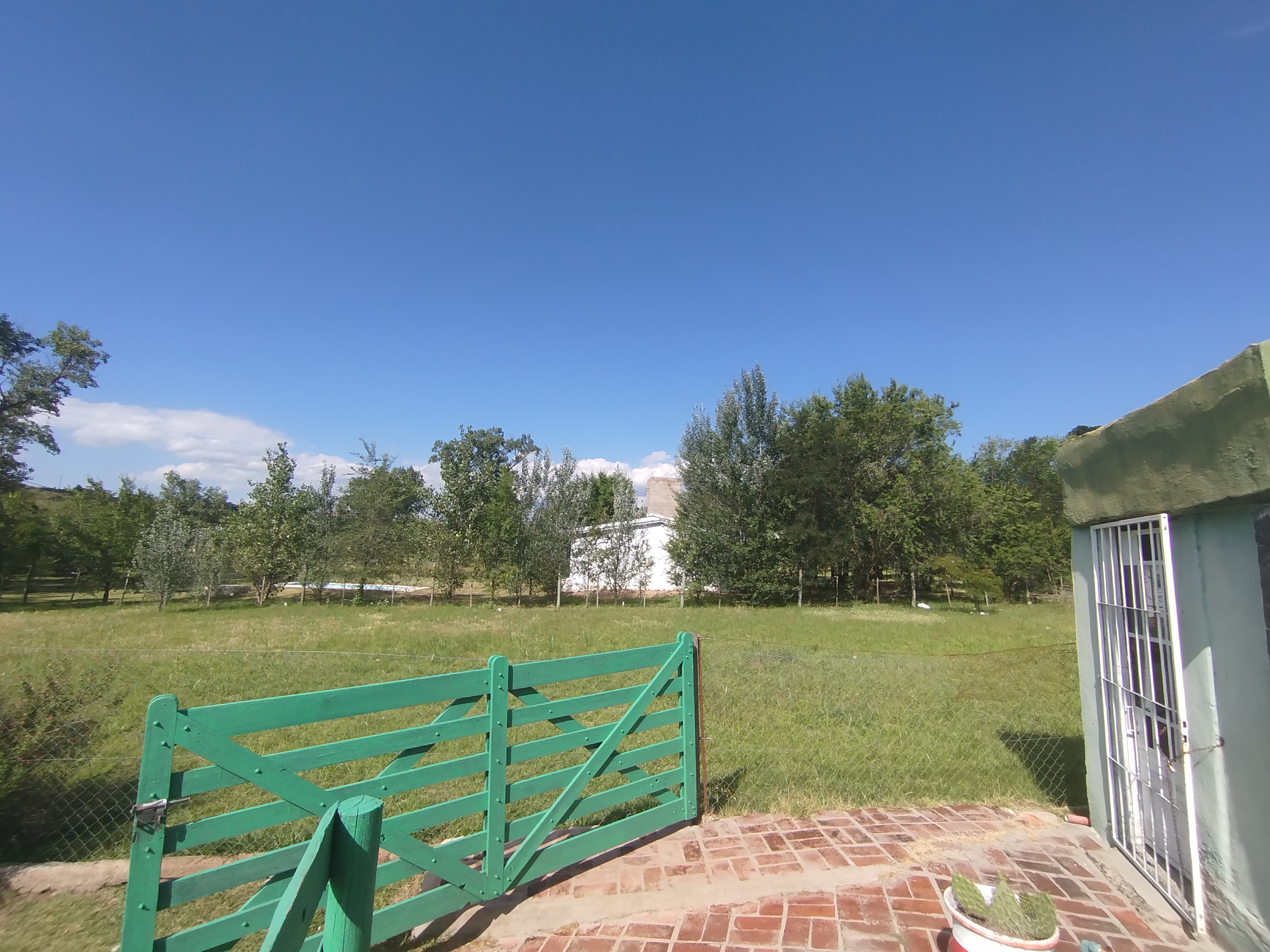 Imagen 8