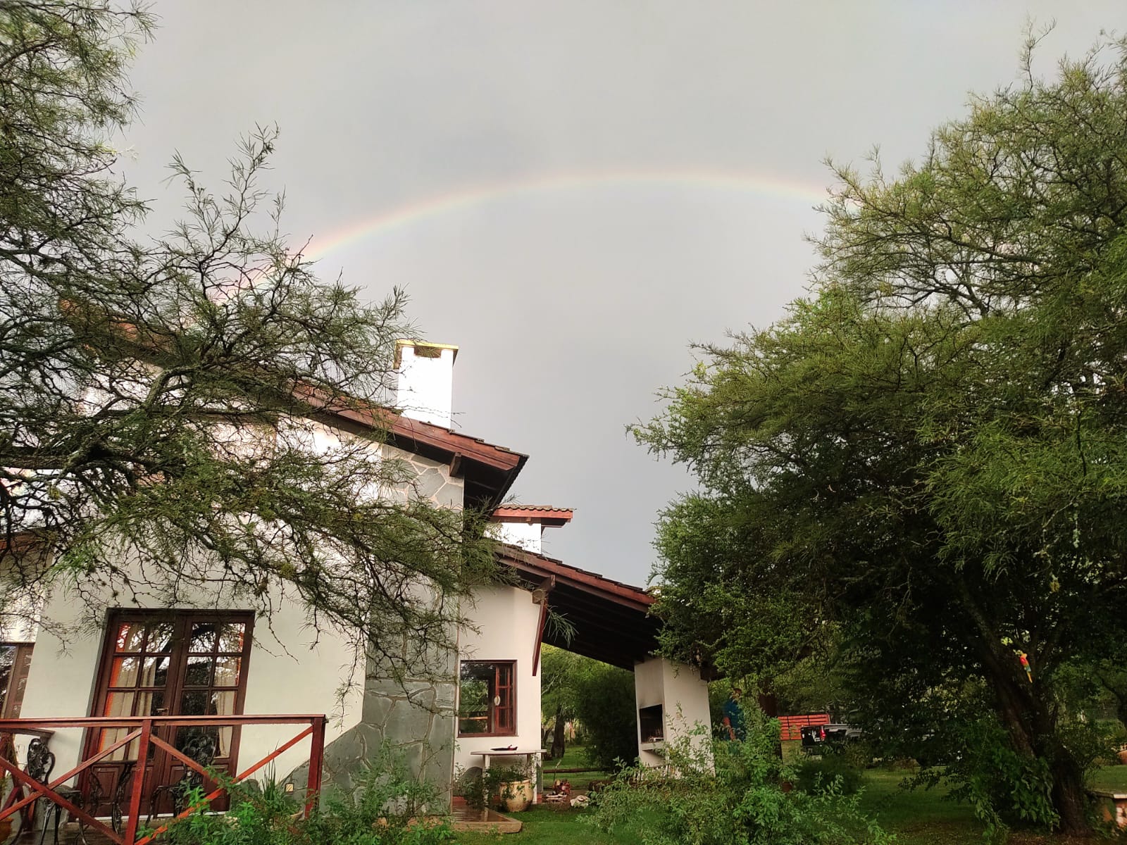 Imagen 7